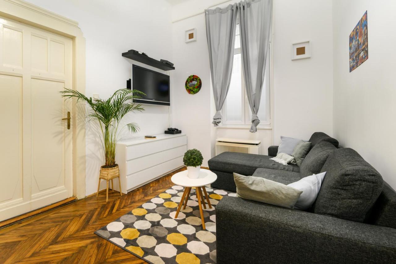 Two Separate Rooms Apartment In City Center, Party District บูดาเปสต์ ภายนอก รูปภาพ